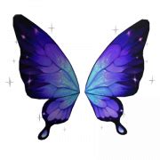 Butterfly Wings PNG Photo - PNG All | PNG All