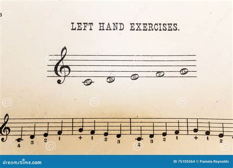 Sheet Music - Left Hand Exercises Stock Photo - Image of scale, notation: 75105564