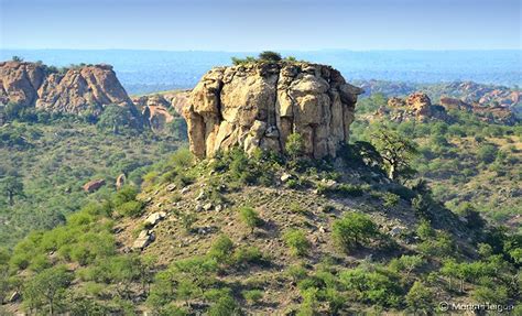 Mapungubwe Landscape | Southern africa, Africa travel, South africa