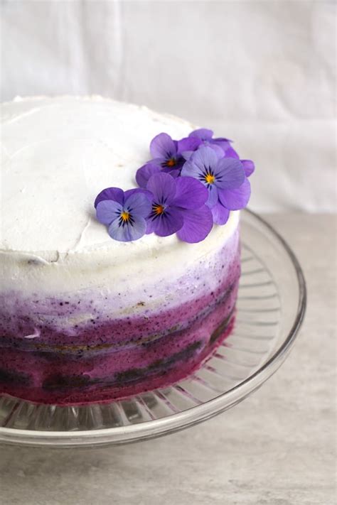 Blueberry Cake with Coconut Frosting (gluten-free & vegan) - Nirvana Cakery