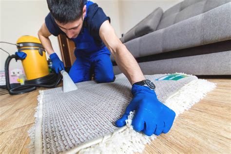 Carpet Cleaners Near You - Professional Carpet Cleaning Services