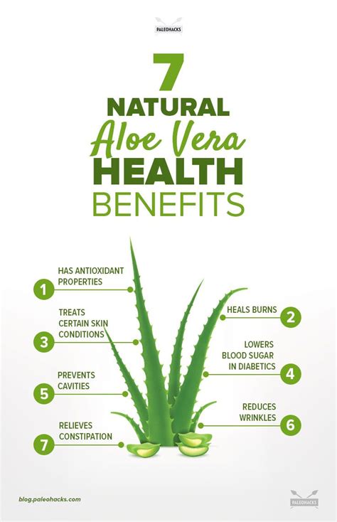 7 Natural Aloe Vera Health Benefits and Uses | PaleoHacks