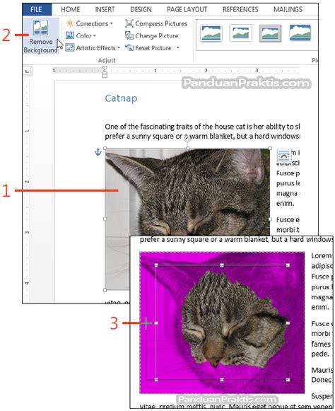 Cara Menghapus Background Gambar Di Word 2013