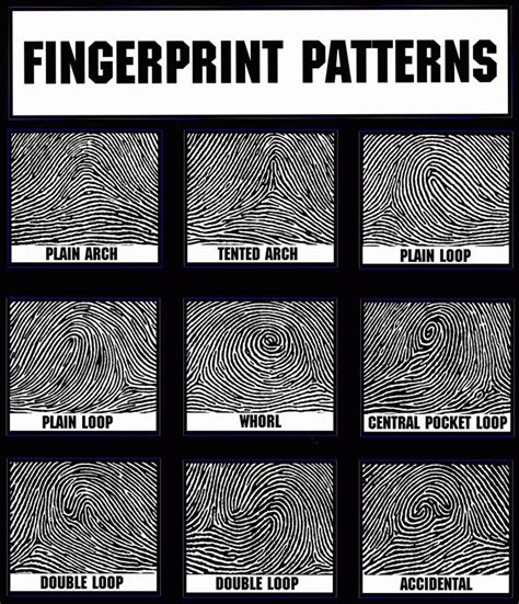 How to Explain Different Kinds of Fingerprint to Kids - Raquel-has-Harding