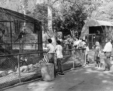 A Whimpering Roar: The Old Griffith Park Zoo, Then and Now | Griffith ...