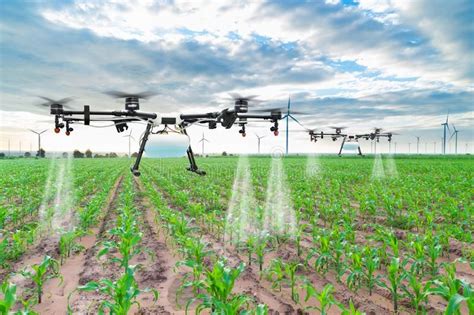 Agriculture drone fly to sprayed fertilizer on the corn fields. , #Sponsored, #fly, #drone, # ...