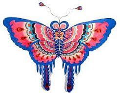 The Butterfly Kite - Some Musings, Observations And Examples