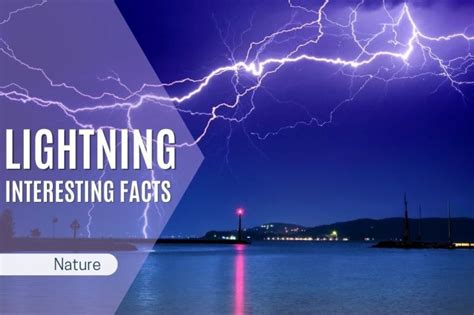 Interesting Facts About Lightning and Thunder - AddNovum