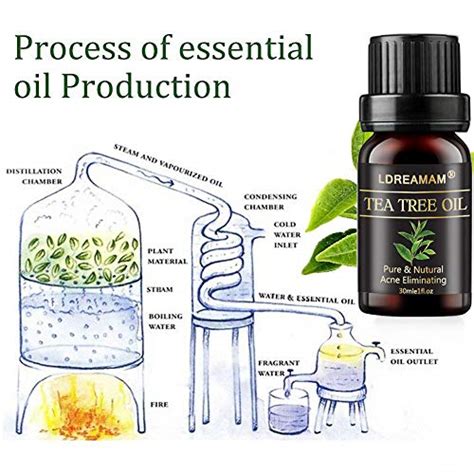 Tea Tree Oil,Acne Treatment,Tea Tree Acne Oil,Acne Oil Serum,Get Rid of Acne Scars, Pimples ...