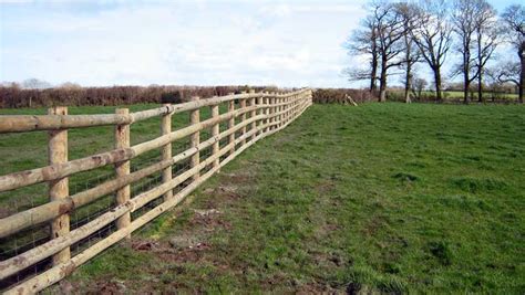 Farm Fencing Explained | General Thinking