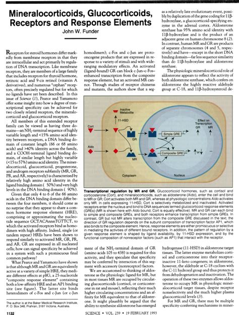 Mineralocorticoids, Glucocorticoids, Receptors and Response Elements | Science