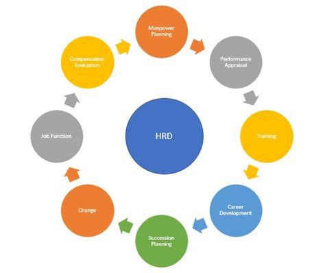 Human Resource Development (HRD) - Meaning & Importance | HRM Overview ...