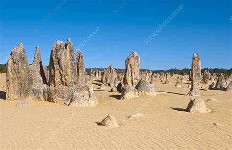 Famous Rock Formation the Pinnacle - Stock Image - C028/7262 - Science Photo Library