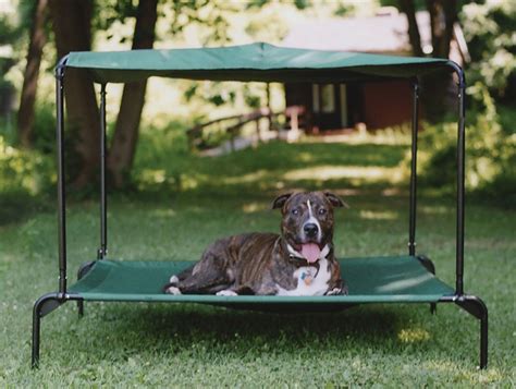 The 22 Best Ideas for Diy Dog Shade Structure - Home, Family, Style and ...