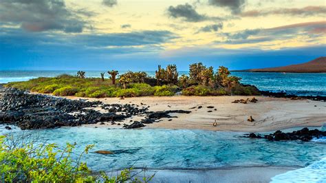 Discover the sumptuous Galapagos Islands and their breathtaking aquatic ...