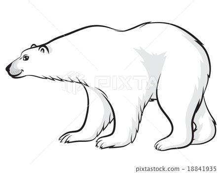 White Bear Pictures Cartoon - pic-connect