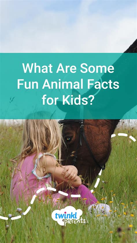 What are Some Fun Animal Facts for Kids? - Twinkl | Fun facts about ...