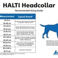 Halti Gentle Leader Size Chart - Best Picture Of Chart Anyimage.Org