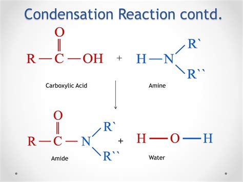 PPT - Amine Reactions PowerPoint Presentation, free download - ID:2118635