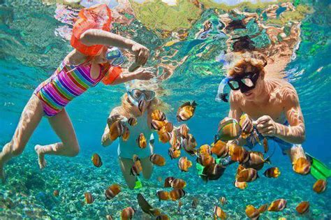 5 Fun Activities to Do in The Bahamas With Kids - Marvelous Tours Nassau