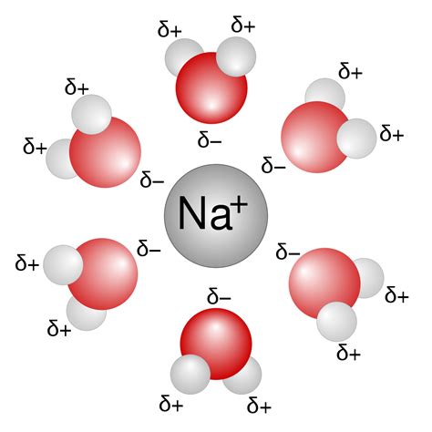 Ion Dipole Examples Of Molecules