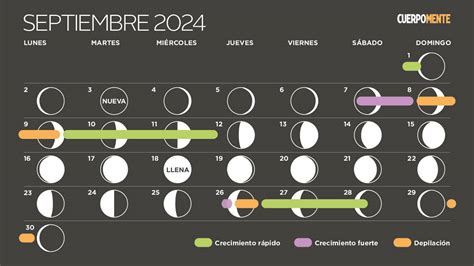 Calendario lunar 2024: corte de pelo, siembra y depilación