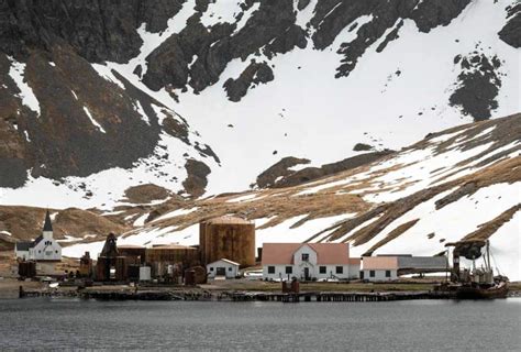 Ultimate Guide to Travelling to Grytviken, South Georgia