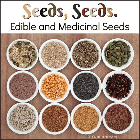 Seeds. Edible Seeds. Medicinal Seeds. 10 Seeds You Can and Should Eat