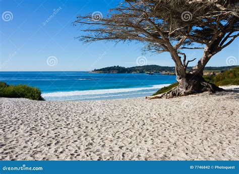 Beach on a sunny day stock photo. Image of coastline, rocks - 7746842