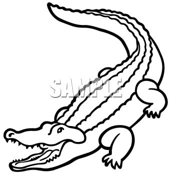 Clipart of an Outline of an Alligator - AnimalClipart.net | Clip art, Book clip art, Cartoon ...