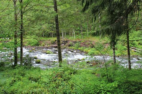 Best Hikes at Beautiful Mount Hood National Forest - Pine Coast Hiking