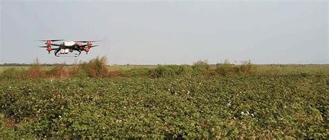 The spraying cotton defoliant operation process | Download Scientific Diagram