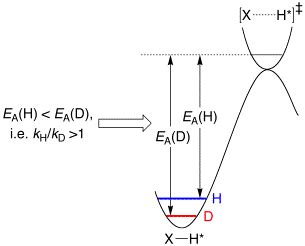 Isotope Effects