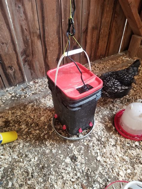 DIY Heated waterer | BackYard Chickens - Learn How to Raise Chickens