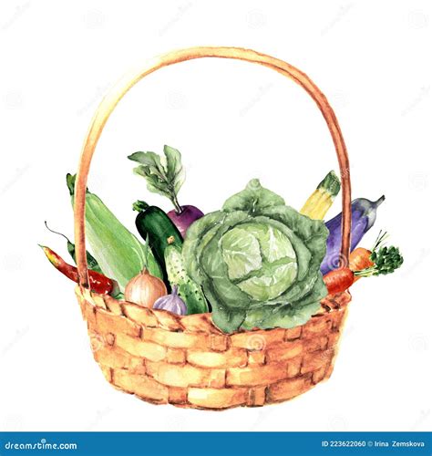 Watercolor Basket with Vegetables Stock Photo - Image of vegetable, basket: 223622060