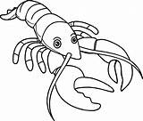 Lobster Coloring Sea Pages Animals Crayfish Drawing Cute Outline Animal  sketch template