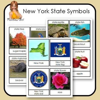 New York State Symbols | State symbols, New york state, States project