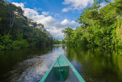 A Guide to Visiting the Amazon Rainforest | On The Go Tours | UK