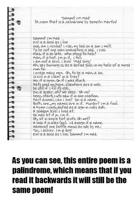 Palindromo Poema - Palindrome Poem Project | End of the world, Coming of age ... - This means ...