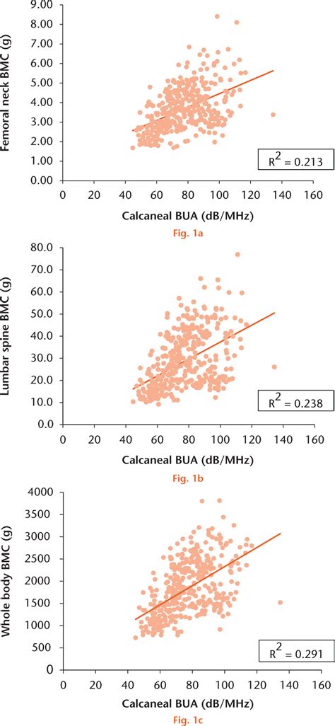 Is calcaneal broadband ultrasound attenuation a valid index of dual ...