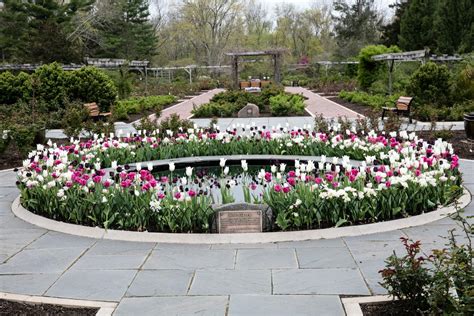 Narrative Tours of the Colonial Park Rose Garden | Bridgewater, NJ Patch