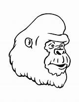 Gorilla Head Coloring Page  Download Print Or Color Online For Free sketch template