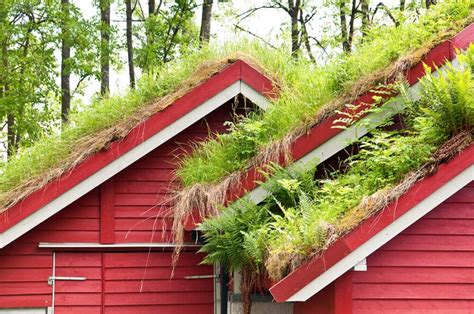 25 Amazing Buildings with Green Roof Designs (PICTURES)