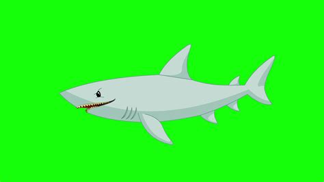 Cartoon Green Screen - Animals - Fish Mammal Shark 3675634 Stock Video ...