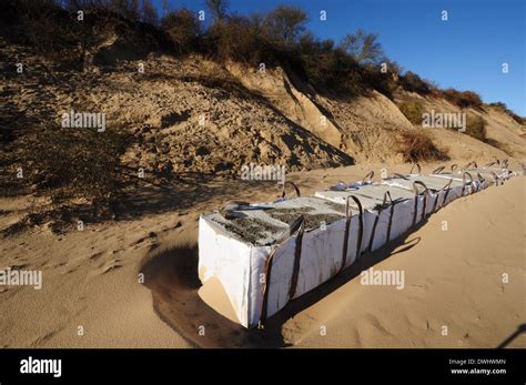 defence against coastal erosion at Hemsby, Norfolk, after the North Sea surge of 6-7th December ...