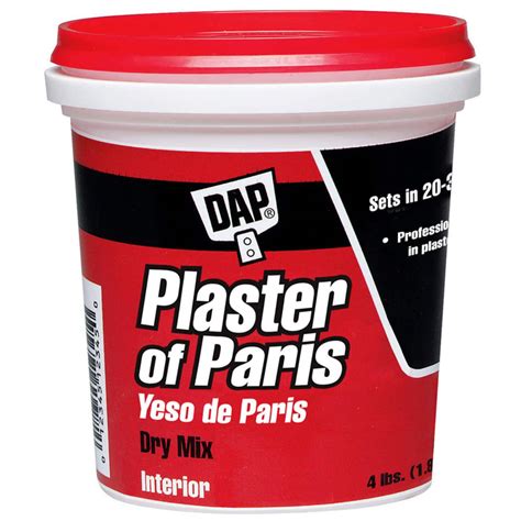 Dap® Plaster of Paris | Michaels