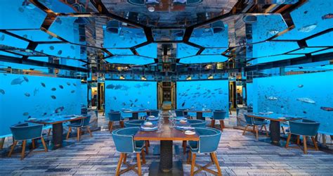 Underwater Restaurant in Maldives | Sea. | Anantara Kihavah