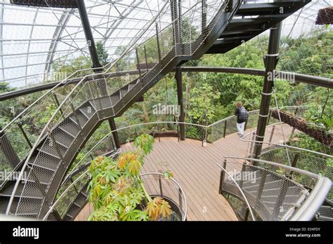 "Skywalk" of the Masoala rainforest hall in Zurich zoo Stock Photo: 68941431 - Alamy