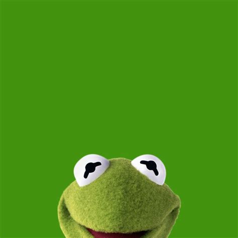 17 Best images about Kermit the Frog on Pinterest | Memories, The ...