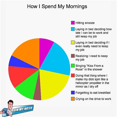 How I Spend My Mornings: An Informative Pie Chart